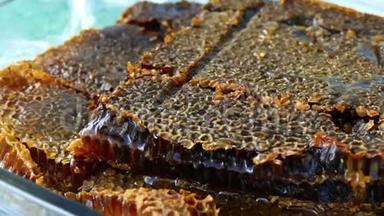 天然蜂窝蜂蜜，特写天然蜂窝蜂蜜，在玻璃碗里蜂窝蜂蜜，用蜂窝作为早餐，
